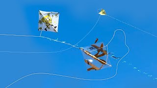 Pipa Amarela estava Soberana até que a Raia Chegou