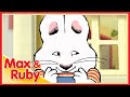 Max Ruby Ruby S Puppet Show Sugar Plum Max Max S Ant Farm Ep 37