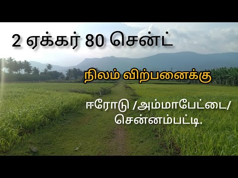 2 ஏக்கர் 80 சென்ட் நிலம் விற்பனைக்கு. ஈரோடு.அம்மாபேட்டை.  சென்னம்பட்டி
