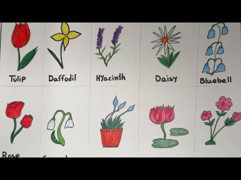How to draw Different types of flowers | How to Draw ...