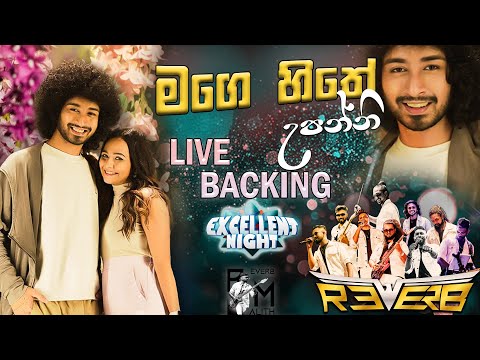Hithe Upanni (හිතේ උපන්නී)  Amisha Minol With REVERB | Excellent Night Bandaragama 2024 | Bass cover