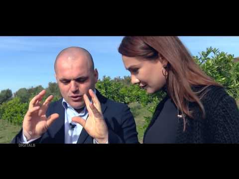 Pa Filtër - The Best