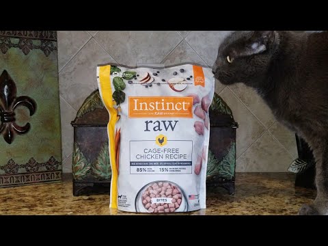 Cat Food Review of Nature's Variety Instinct Raw...