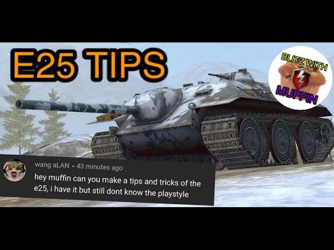 Tips and Tricks E25 WOT Blitz