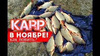 Ссылка