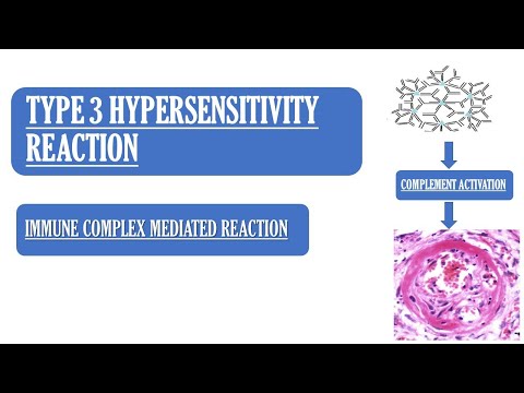 Type 03 Hypersensitivity Reaction | Made easy | Mechanism & Examples | Images.
