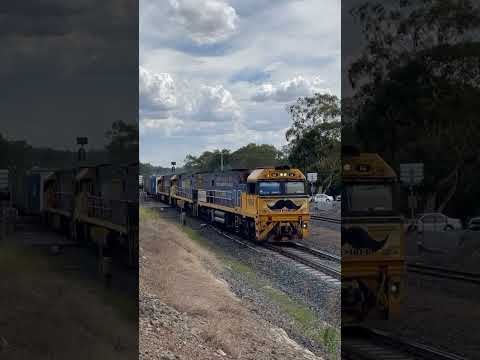 NR66, NR50 & NR93 at Seymour