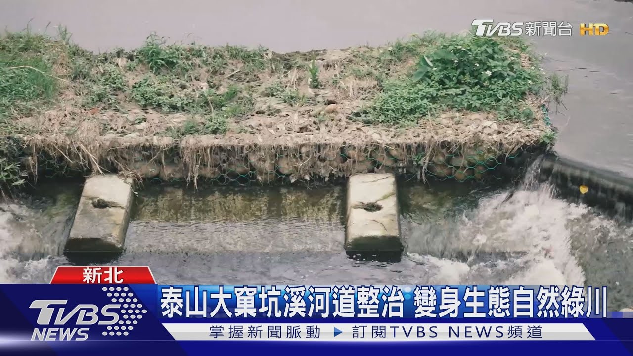 泰山大窠坑溪河道整治 變身生態自然綠川