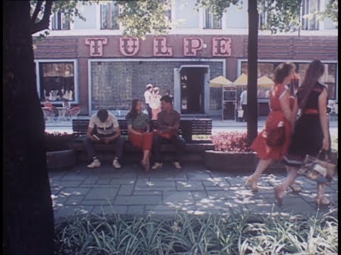 Maršrutas nr. 104 – Kaunas. „Metropolis“ ir „Tulpė“