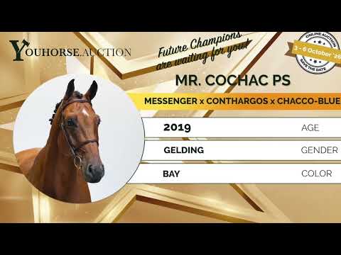 Mr Cochac PS video 2