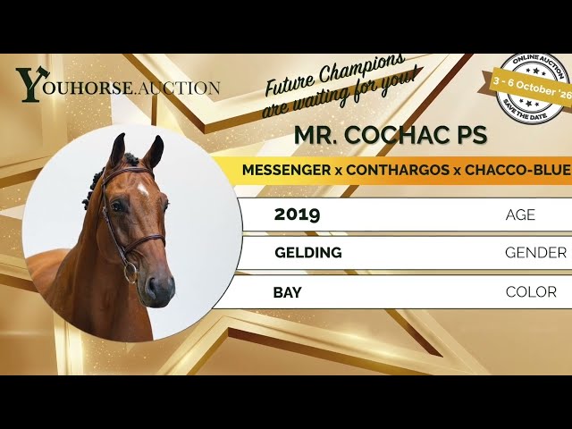 Mr Cochac showvideo outdoor