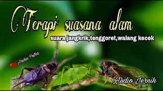Download lagu serasa di alam bebas || terapi suara alam untuk burung stres mp3