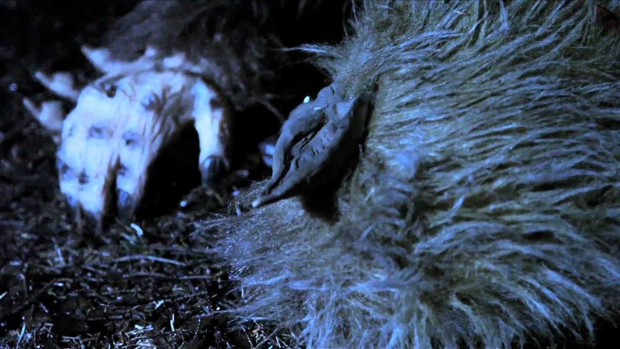 REMEMBER REMEMBER - Imagining Things