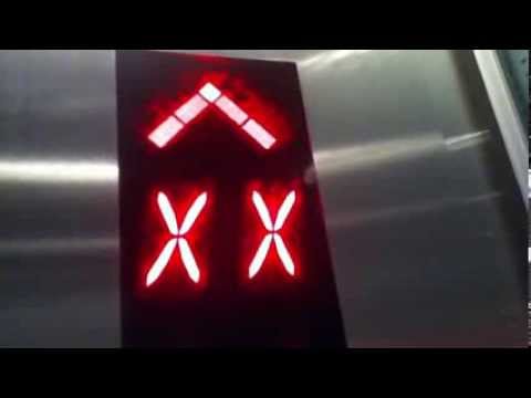 AWESOME Westinghouse/Schindler Miconic 10 High And Low Rise Elevators In NYC