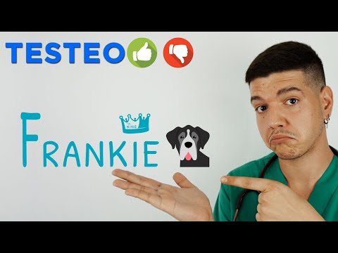 Videos from Frankie The King