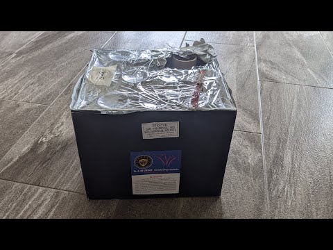 Dominator Pro Fireworks PFX574B 2" Shells Brocade w/Red Pistil (500g) {10shot} [mfg2018]