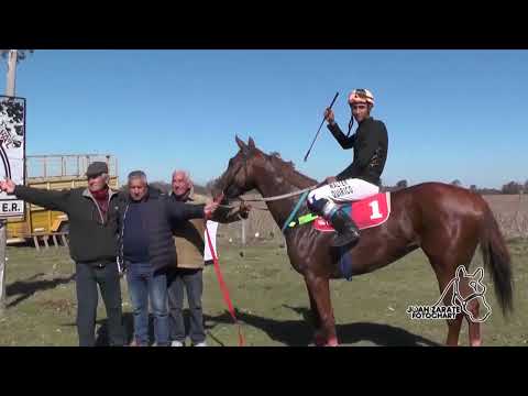 Todas las carreras de  Villa Clara