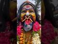 Potharaju Dance At Golkonda Bonalu 2023 Hyderabad Bonalu 2023 Shorts Short Shortvideo Trending