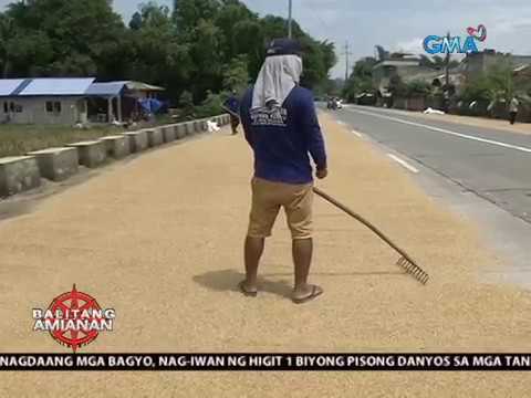 Balitang Amianan: Higit P1-B Danyos sa mga Taniman ng Palay, Iniwan ng Habagat at Nagdaang mga Bagyo