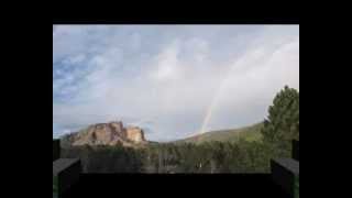 MEAT PUPPETS - Plateau