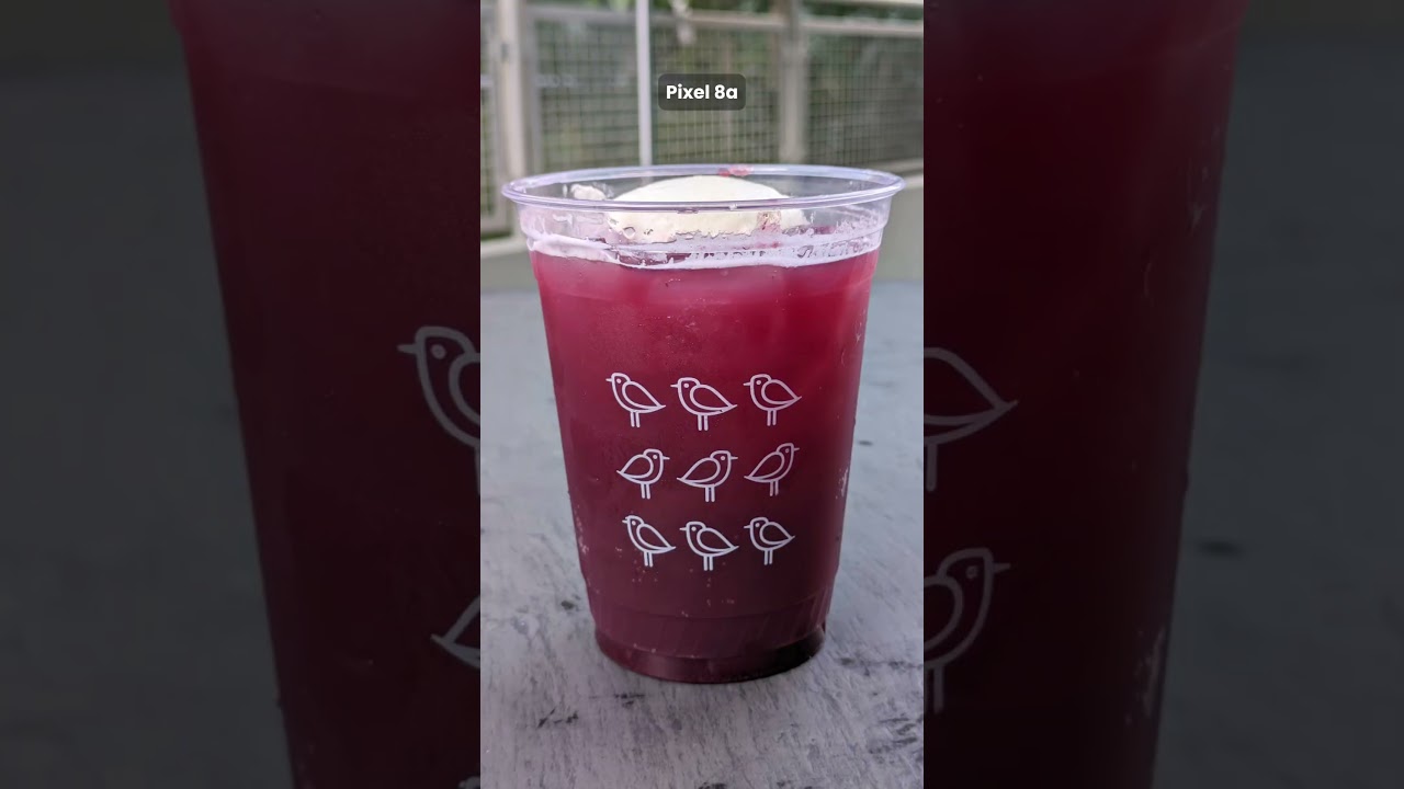iPhone 16e vs Pixel 8a Photo Comparison