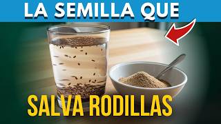 La SEMILLA de $1 que REGENERA Cartílago Mejor que el Colágeno y Calcio