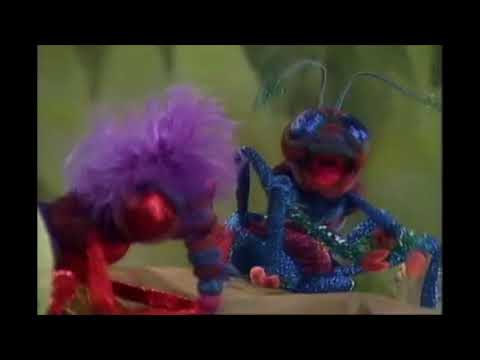Muppet Songs: Bug Band - She Loves You