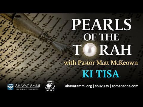 Pearls of The Torah for Parashat Ki Tisa