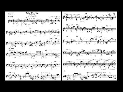 Agustin Barrios Mangore's " Julia Florida "  (barcarola) played by Kyuhee Park기타리스트 박규희 朴葵姫