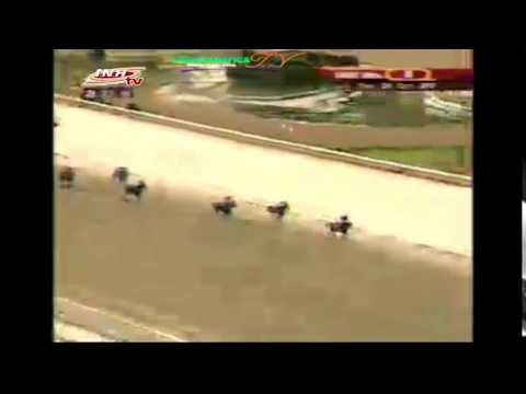 LA RINCONADA 8 CARRERA, DOMINGO 29 DE MARZO DEL 2015