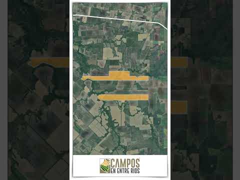 🌱 386 hectáreas listas para producir | Campo Mixto en Entre Ríos #camposenventa