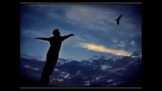 I Pooh   La mia faccia