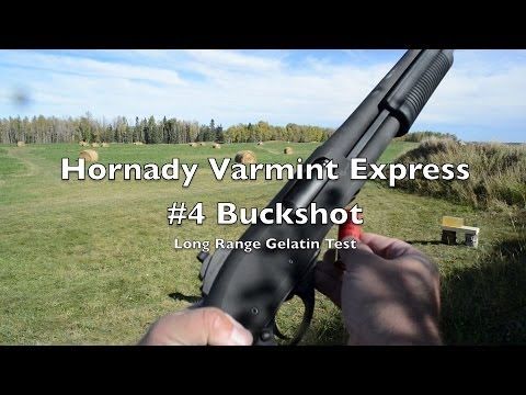 Long Range Shotgun Test! 12 Gauge #4 Buck - Hornady Varmint Express