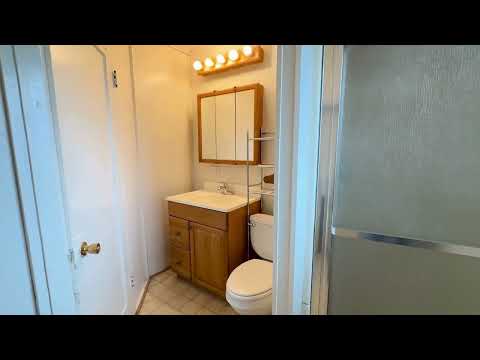 SV T 3040 - Video 2 of 2