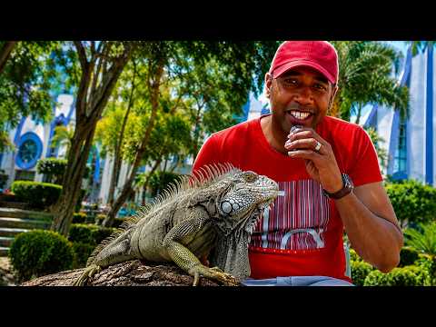 Conviviendo con las Iguanas en Machala 🇪🇨 | Un Cubano en Ecuador