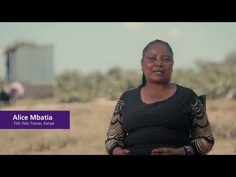 Quarries of the past