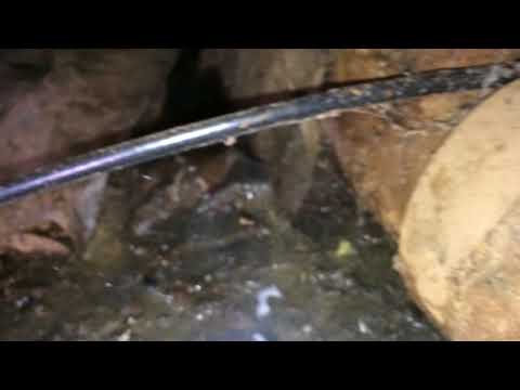 A look inside a Wet crawlspace in Hebo, OR