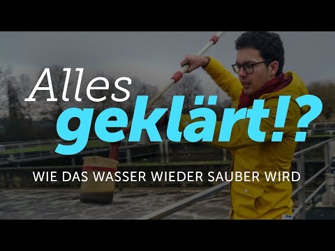 Alles geklärt!? Wie das Wasser wieder sauber wird