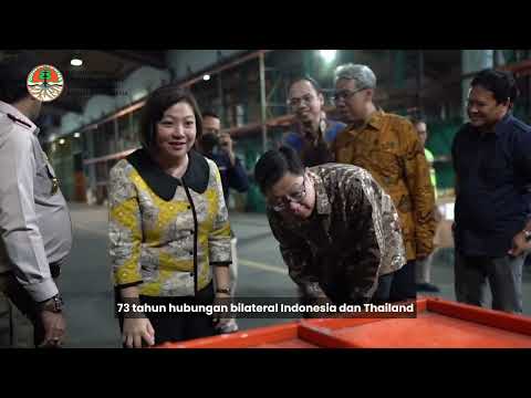 Thumbnail REPATRIASI ORANG UTAN SUMATRA