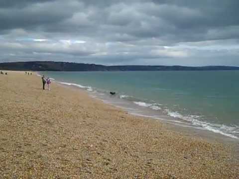 View from Torcross