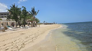 Iberostar Montego Bay Rose Hall Jamaica Beach Tour - Waves, Selection, and Joia