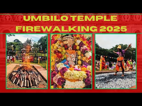Fire Walking at Umbilo Shree Ambalavaanar Alayam & Shree Draupaddiammen Alayam