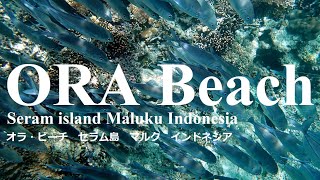 preview picture of video 'Ora Beach HD Seram Island Maluku Indonesia03'