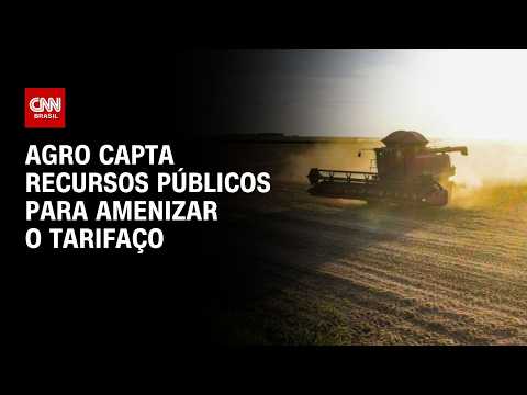 Conexão Agro: Setor agrícola capta recursos públicos para amenizar tarifaço | CNN PRIME TIME