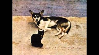 10-Antonio Adolfo-Viralata (1979)