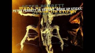 The Only Ones-Programme.wmv