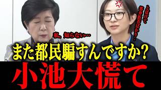 ※さとうさおりが委員会で激詰め…小池黙り込む…【小池百合子　さとうさおり 消費税 東京都議会本会議】