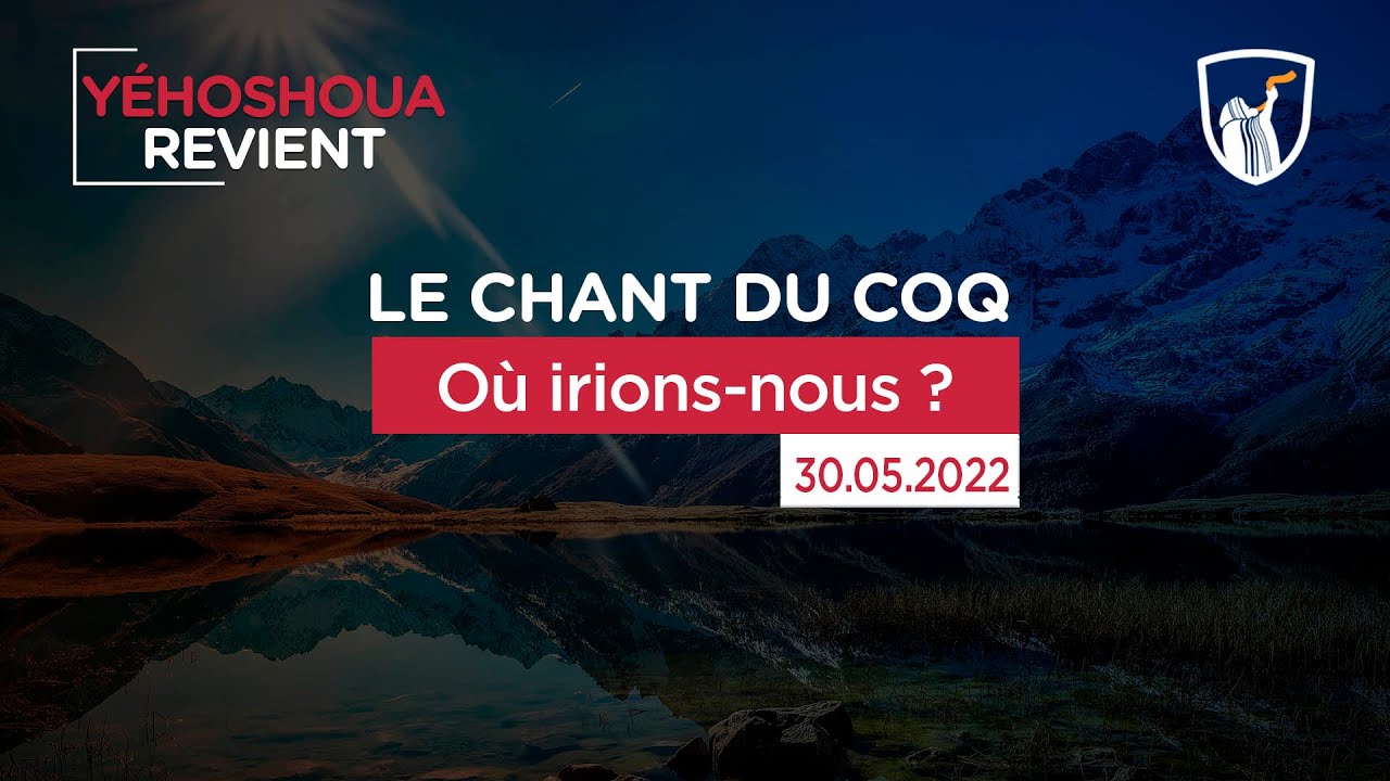 Thumbnail of video: Où irions-nous ?