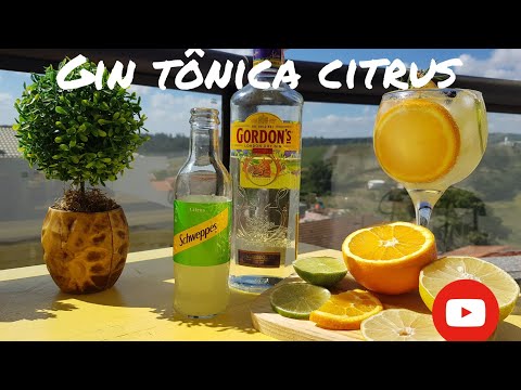 Gin com schweppes
