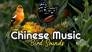 Download lagu relaksasi musik china pengantar tidur relaksasi insomnia dan terapi suara burung-new age mp3